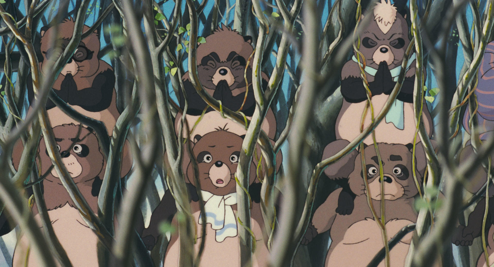 Pom Poko